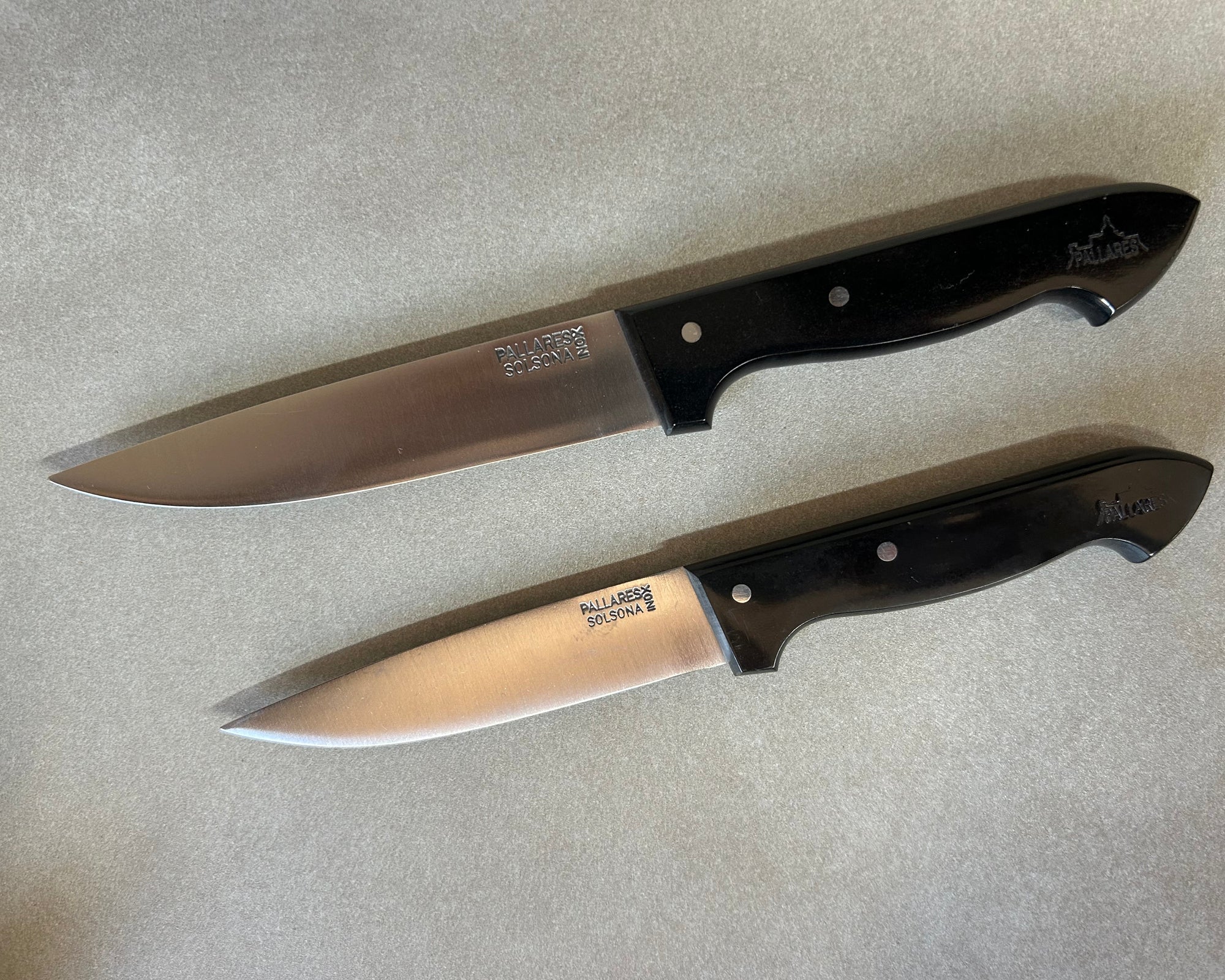 Cuchillo de cocina INOX con Mango de Phen - Pallarès